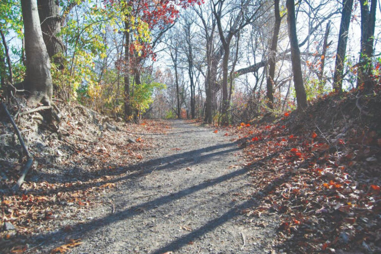 Wilderness Park